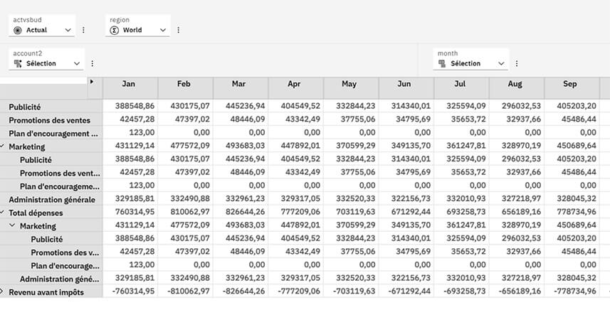 Générer un book de reporting dans Planning Analytics
