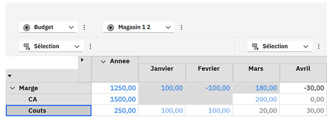 Planning Analytics - Sécurités et habilitations