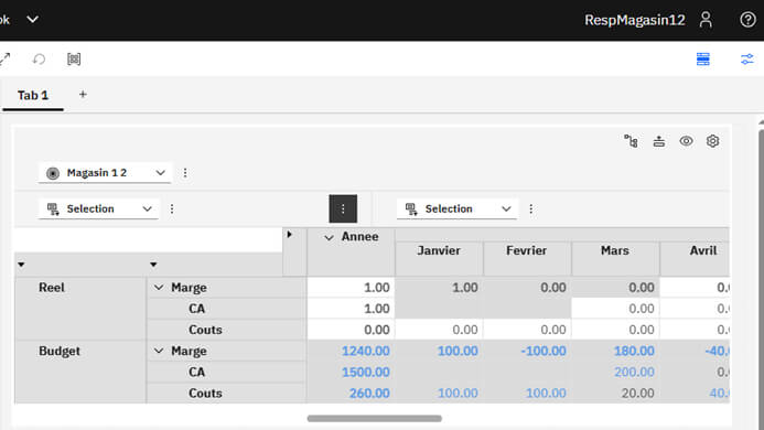 Planning Analytics - Sécurités et habilitations