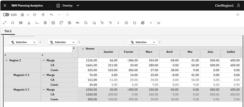 Planning Analytics - Sécurités et habilitations